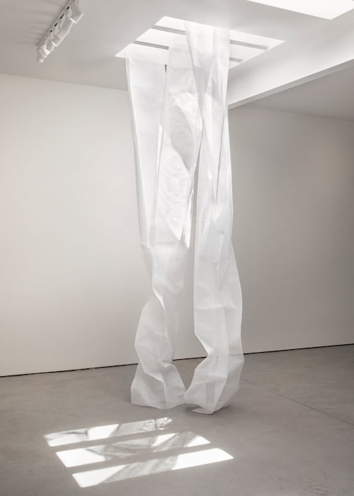 Co-existence installed in a large room